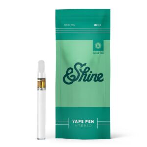 Shine Blue Dream Disposable Vape