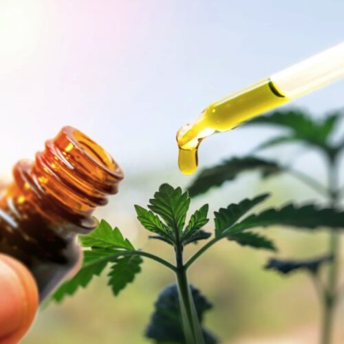 When Is the Best Time to Take CBD Oil