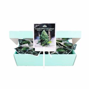 White Widow cannabis lollipops